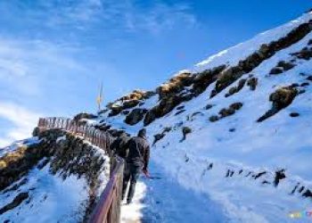 Chandrashila-Tungnath Trek