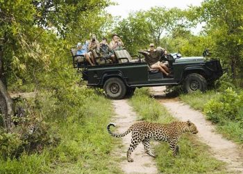 Kumbhalgarh Wildlife Sanctuary