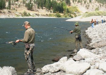 Trouts Fishing in Tirthan River
